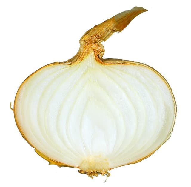 Cebolla cabezona blanca