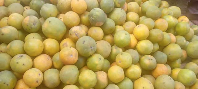 Naranja valencia