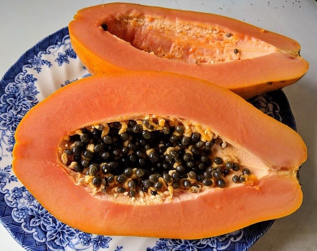 Papaya hawaiana