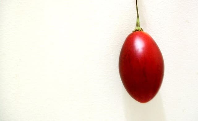 Tomate de árbol